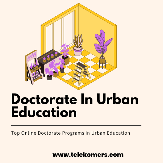 Doctorate In Urban Education