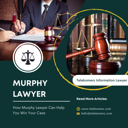 Murphy Lawyer